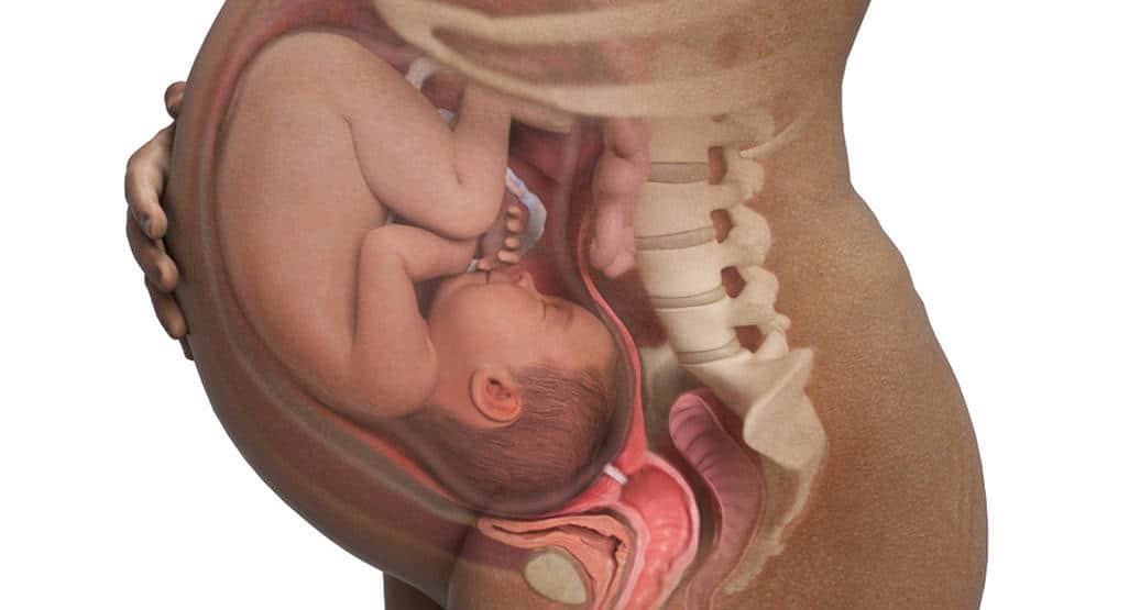 تفسير حلم حركة الجنين في البطن