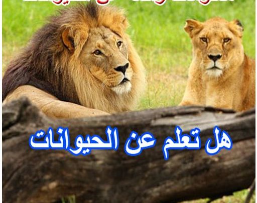 هل تعلم عن الانسان والحيوان