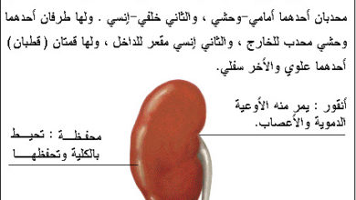 معلومات عامة عن جسم الانسان