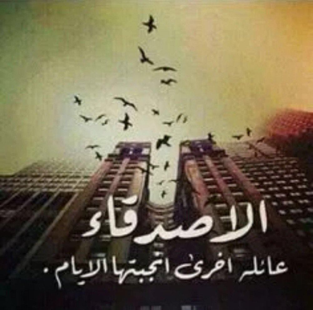 10 عبارات جميلة للأصدقاء وأجمل ما قيل في الصداقة