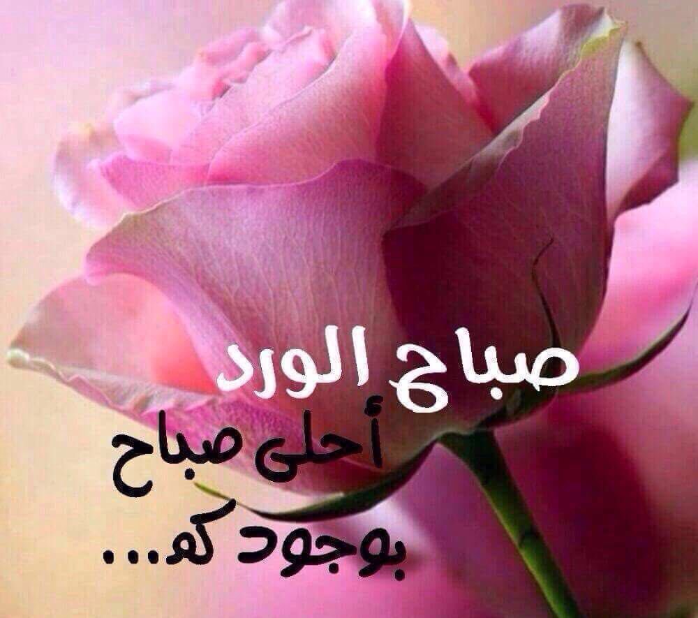 رسائل صباح الحب