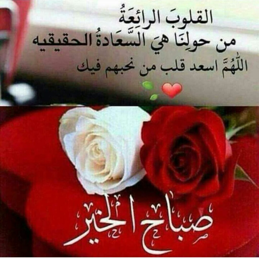 رسالة للحبيب صباح الخير