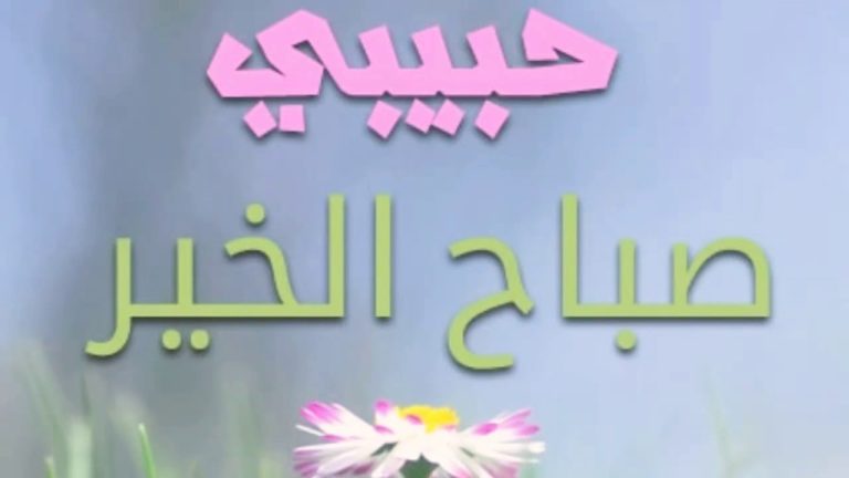 السعادة هي تصلك رساله