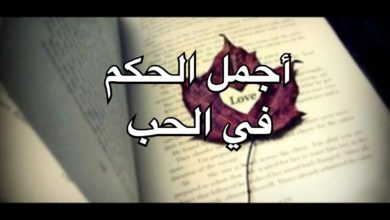 حكم عن الحب
