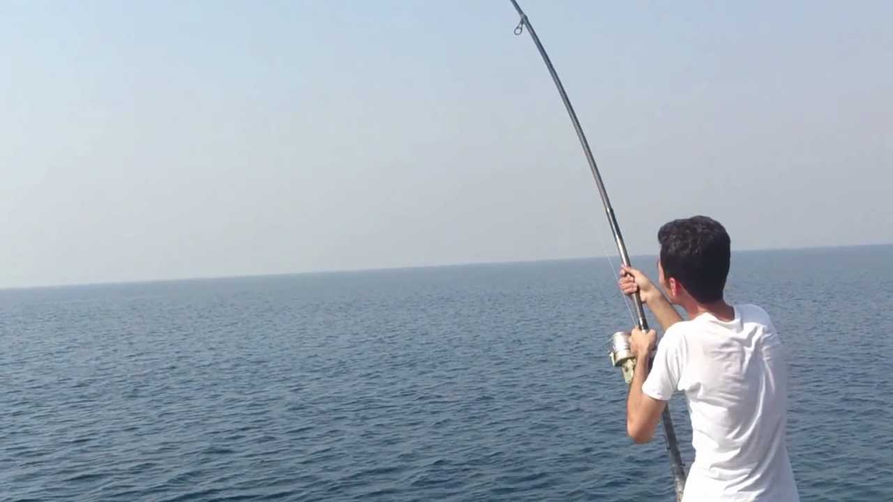 تفسير رؤية نصيد السمك في المنام لابن شاهين