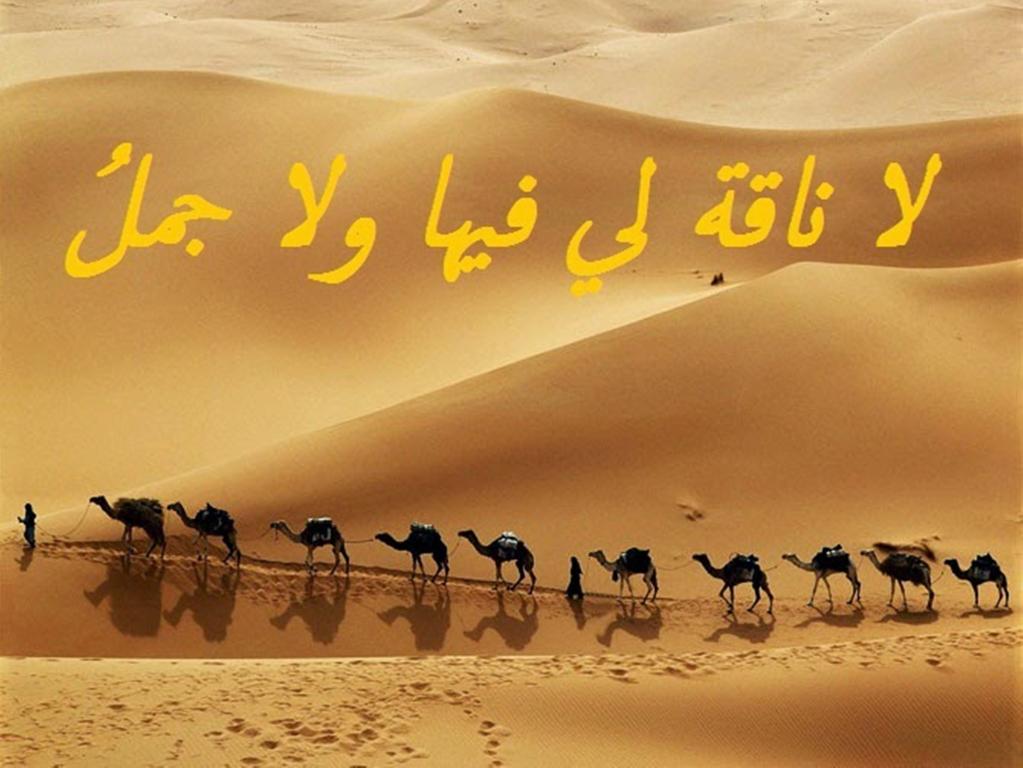 من الامثال العربية