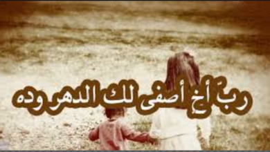 رب أخ أصفى لك الدهر وده