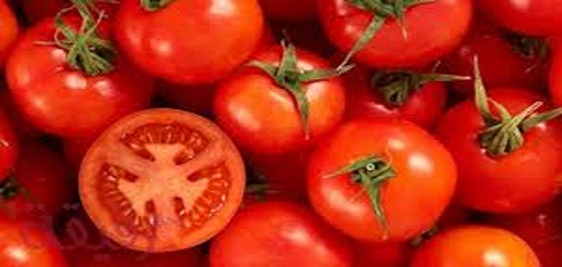 تفسير حلم الطماطم