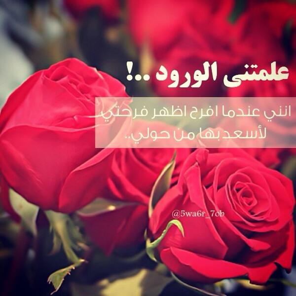 10 عبارات عن الورد الأحمر وحالات للواتس معبرة ونابعة من القلب