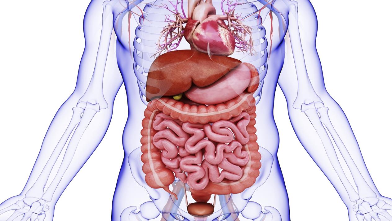 علاج الزائدة الدودية