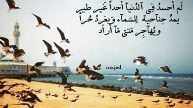 كلام مؤثر جداً عن الحياة