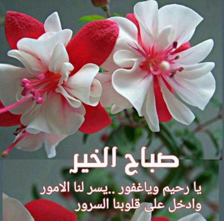 صباح الخير والعافية