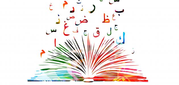 يُطلق على اللغة العربية لغة الضاد