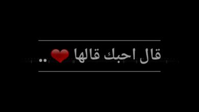 كلمات اغنية اخيرا قالها