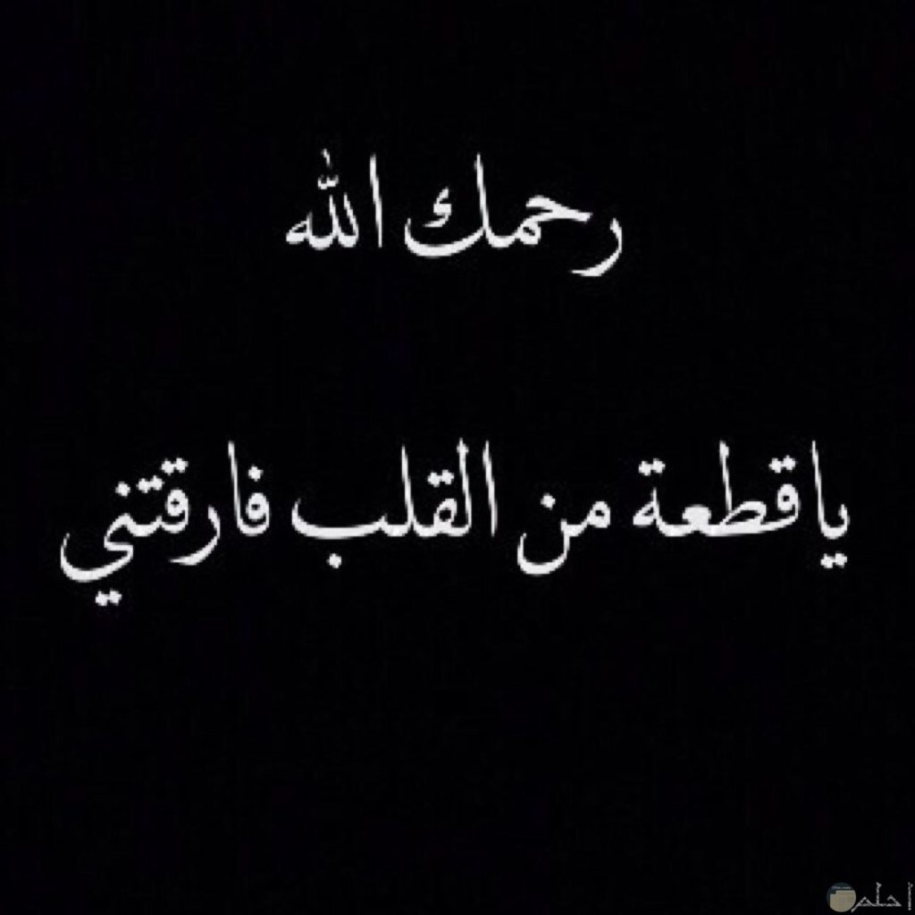 كلام عن الجد