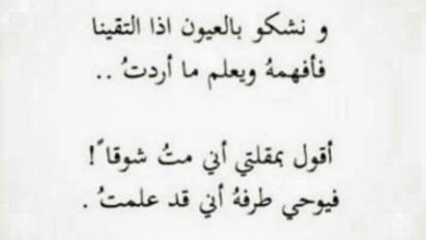 كلمات حب