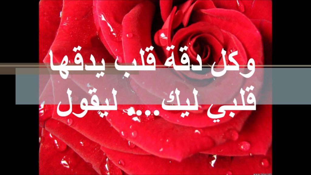 50 رسالة