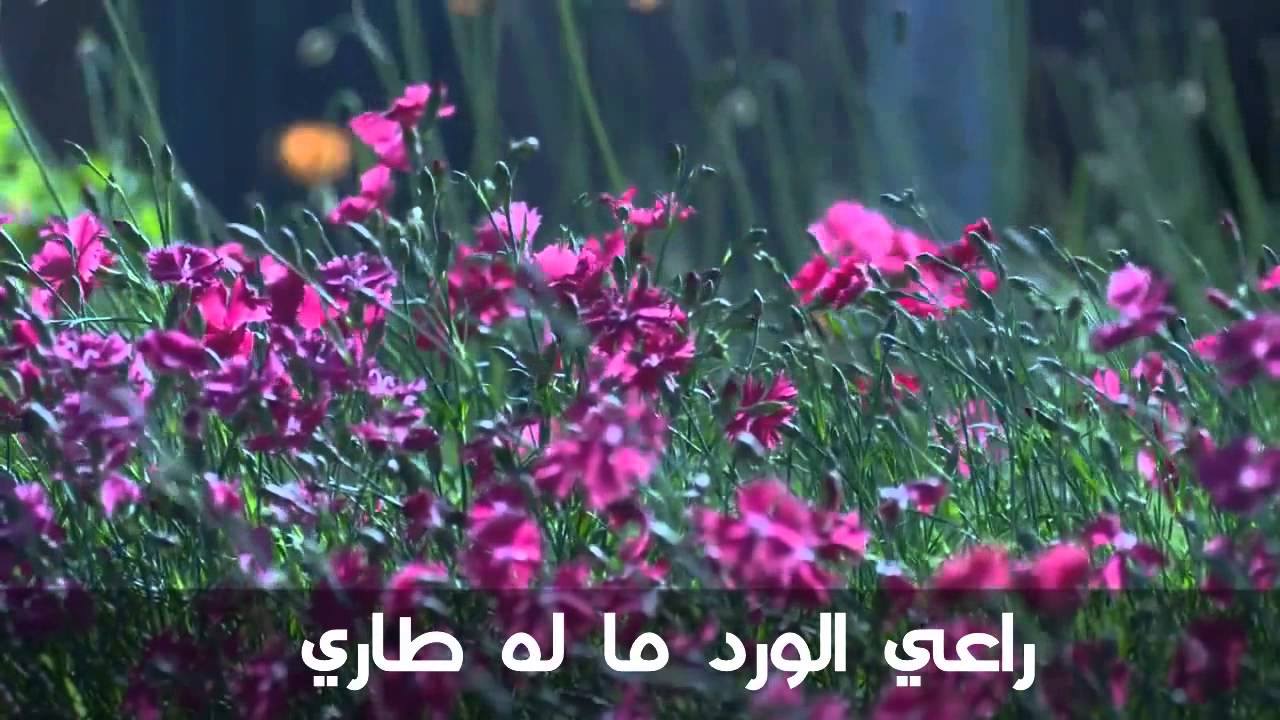 صباح الخير يا حبيبي