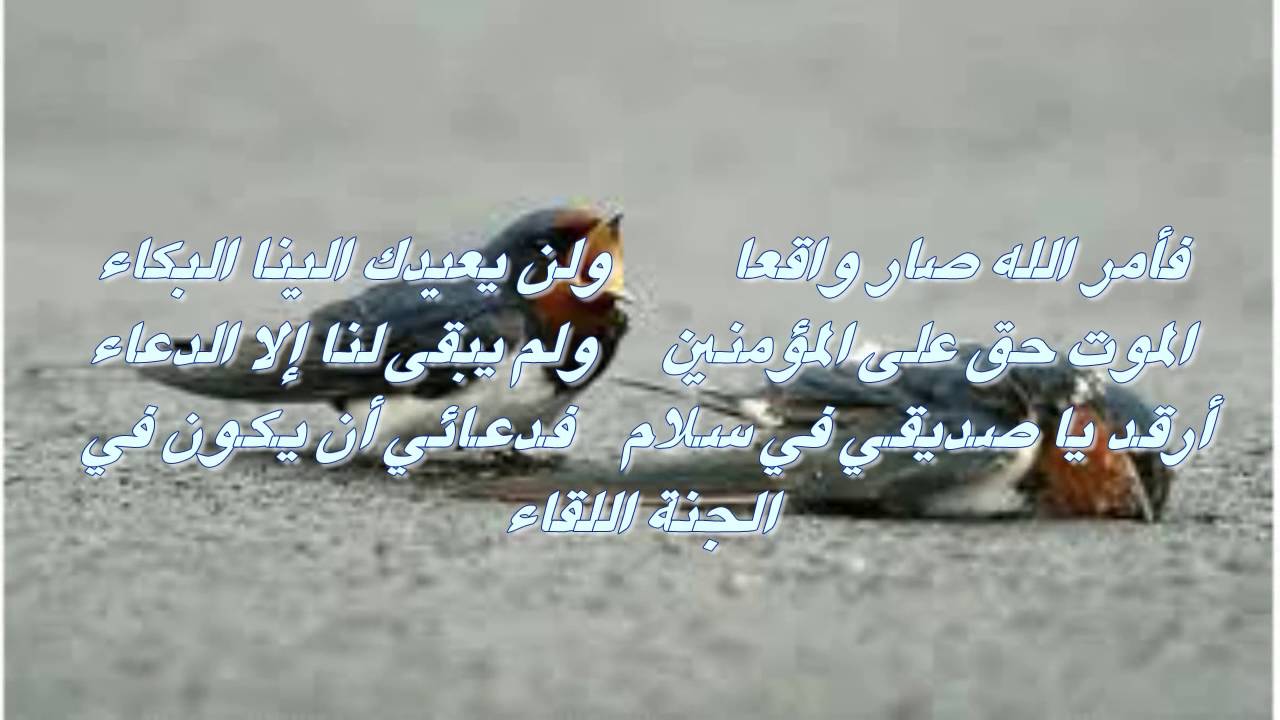 اشعار حزينة جدا تبكي