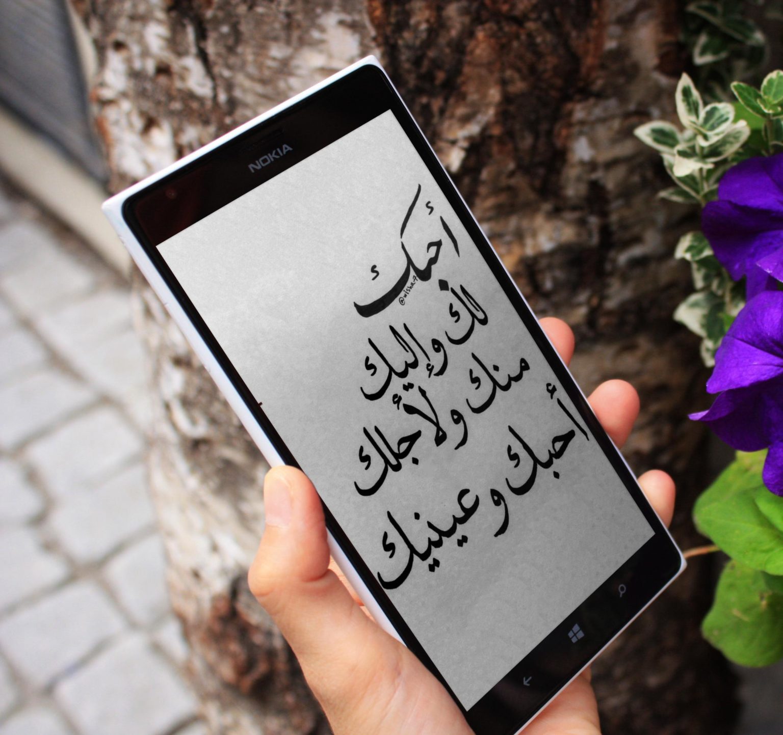 تحميل حالات واتس اب روعة عن الحب والرومانسية