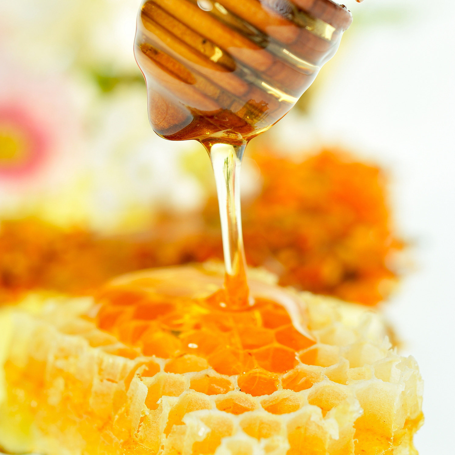 العسل يعالج البرد