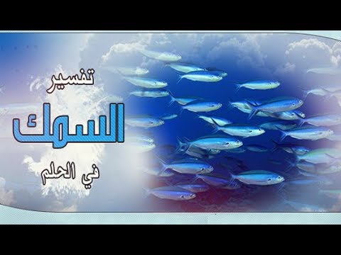 تفسير حلم شخص يعطيني سمك