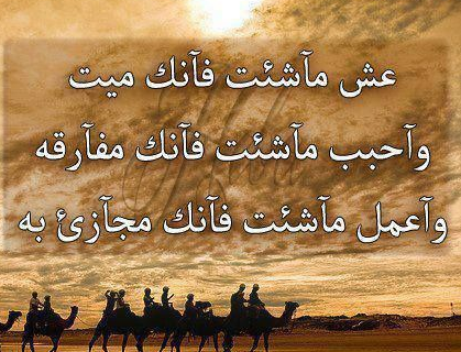 اقوال مهمة عن الحياة