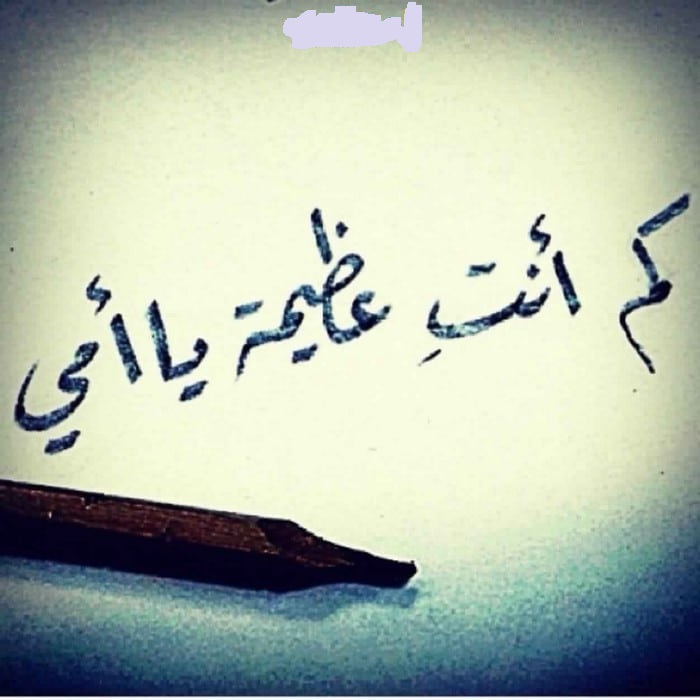 خواطر الأم