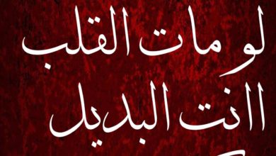 لو تاه الحب