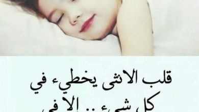 حالات واتس اب للبنات حلوه