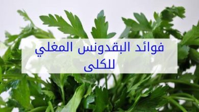 فوائد البقدونس للكلى