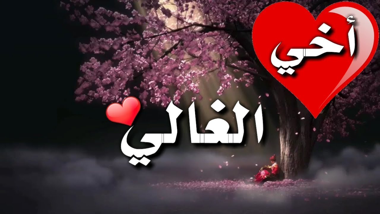 أخي الغالي