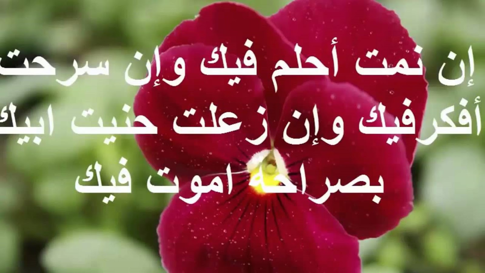 رسالة الى الحبيب الغالي 10 رسائل رومانسية