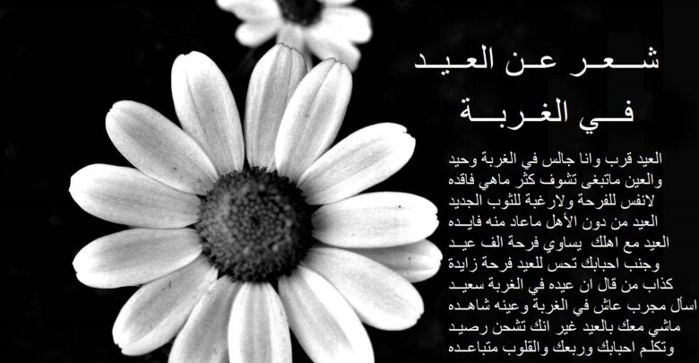 شعر عن العيد في الغربة حزين.