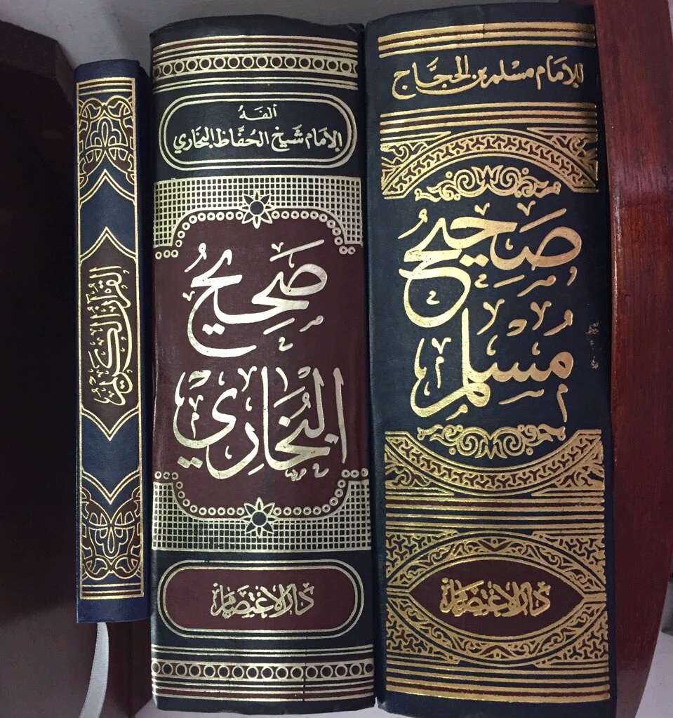 صحيح مسلم 