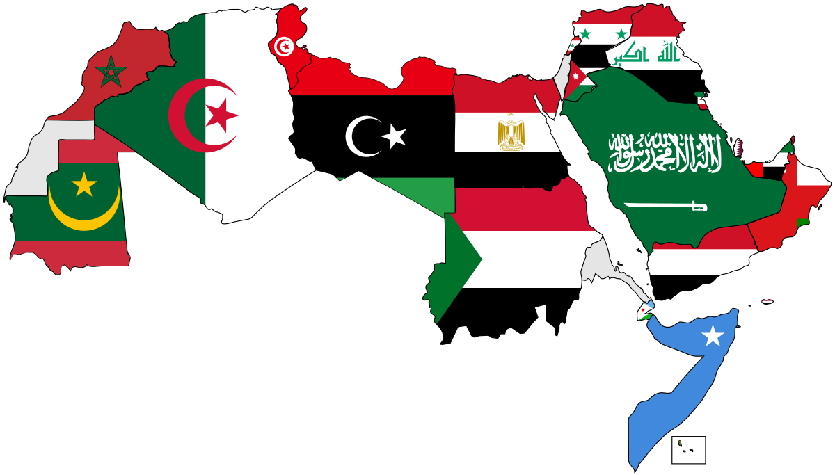 أكبر الدول العربية