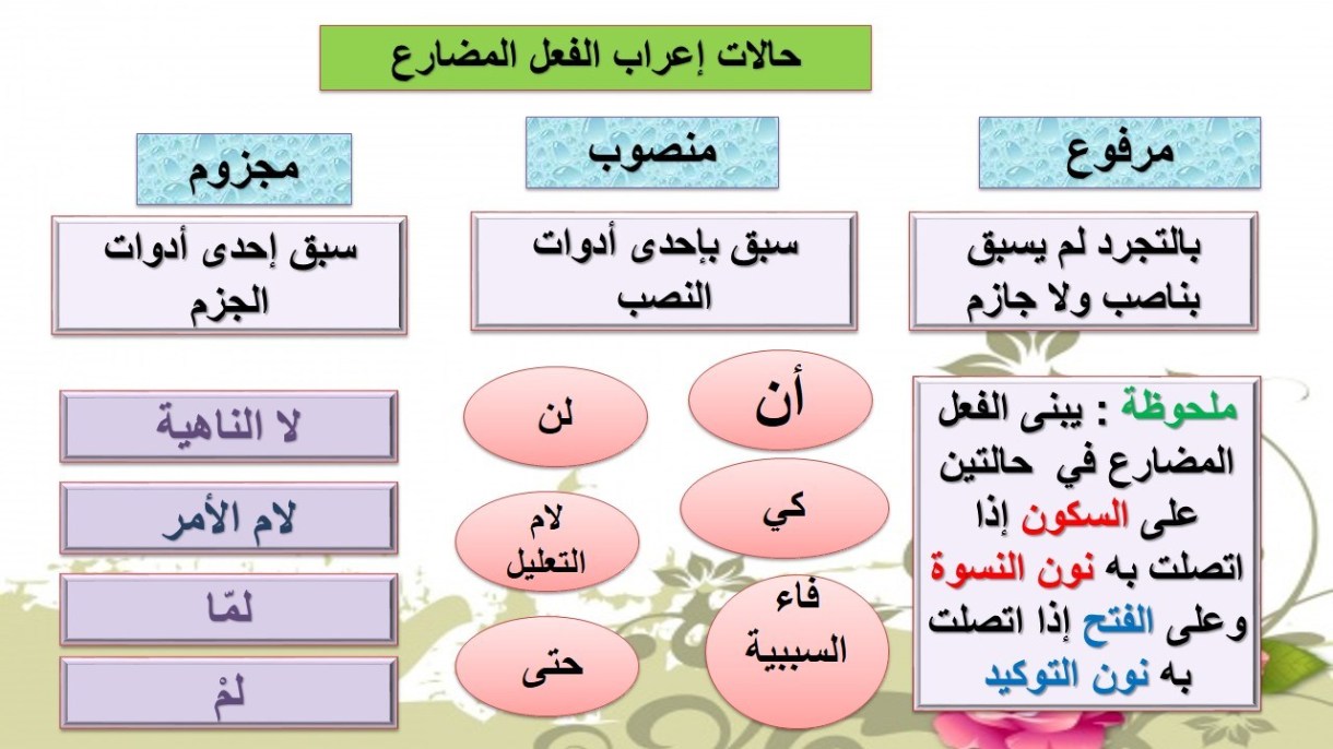 حالات إعراب الفعل المضارع