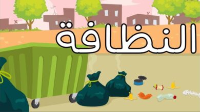 كلام عن النظافة