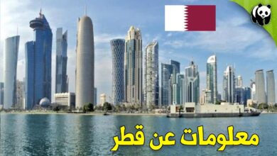 معلومات عن قطر