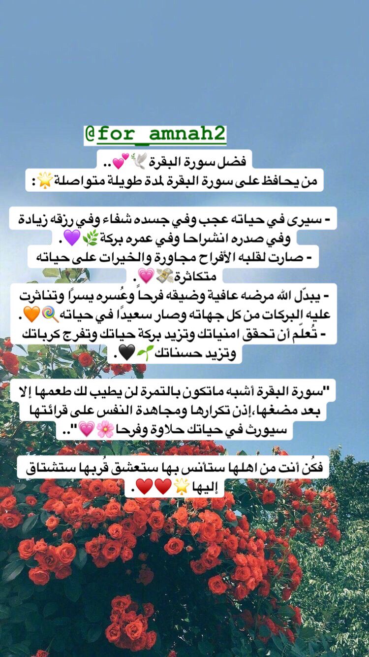 سورة البقرة فضل 01 ذكر