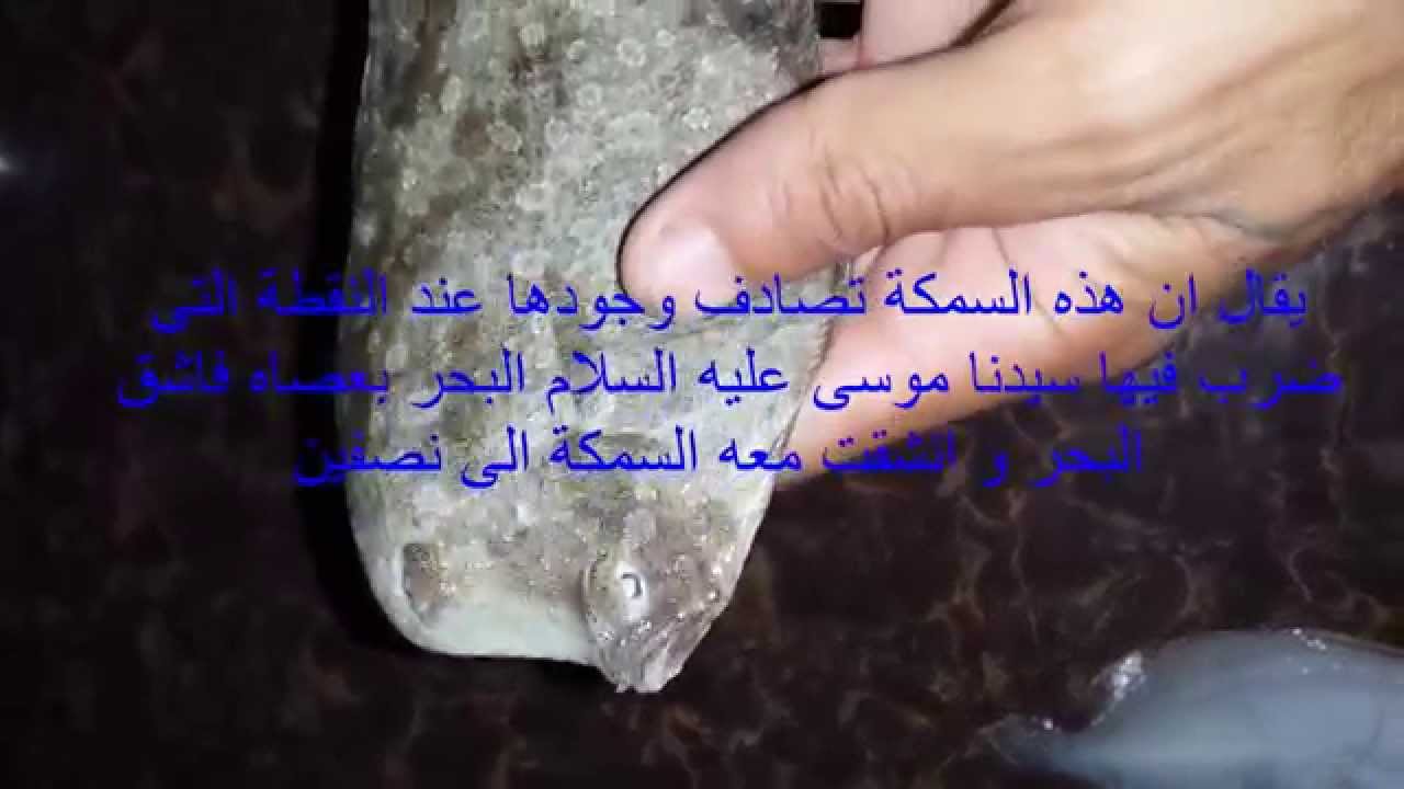 سبب تسميتها بهذا الاسم