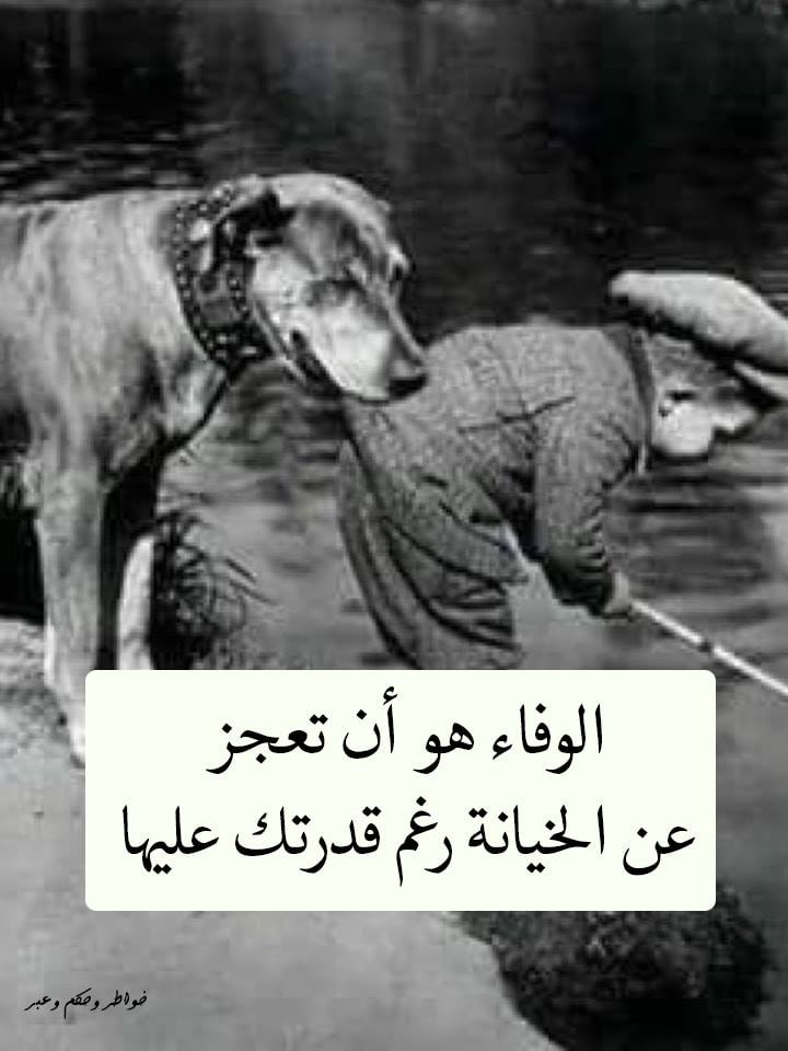 خواطر عن الوفاء والخيانة