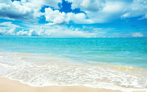 شاطئ جزيرة تاكتومي