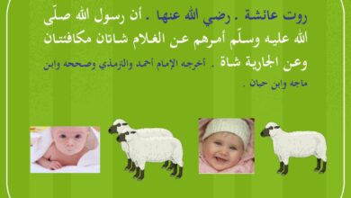 كيفية العقيقة، من أحاديث العقيقة.