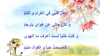 احلى اشعار حب مصورة.