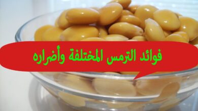 فوائد الترمس المختلفة وأضراره