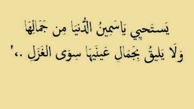 كلام جميل عن المرأة
