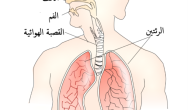 الحجاب الحاجز في جسم الإنسان