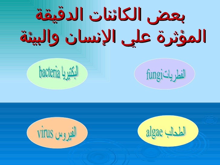 تصنيف الكائنات الدقيقة 