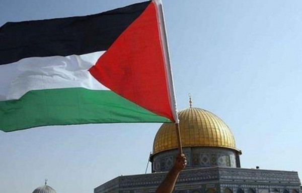 بحث عن فلسطين